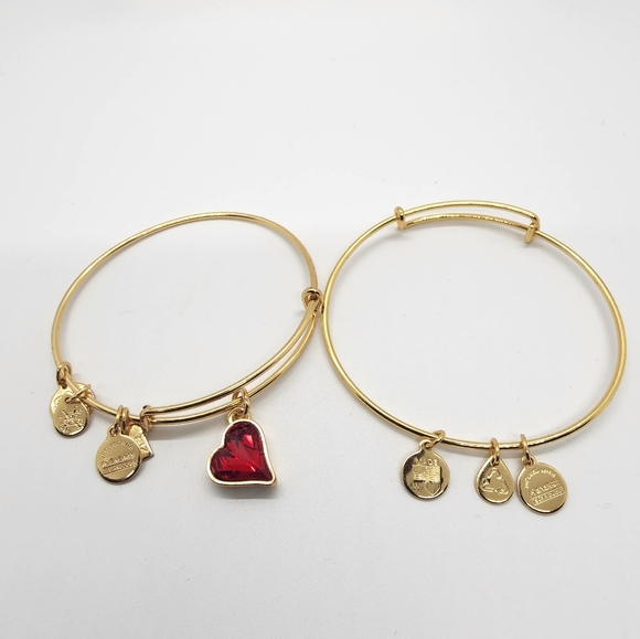 Alexa & Ani Gold Spacer & Heart Of Strentgh Bracelet - Picture 3 of 10